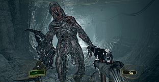 Resident Evil 7 Gold Edition & Village Gold Edition