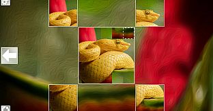 Puzzle Art: Snakes
