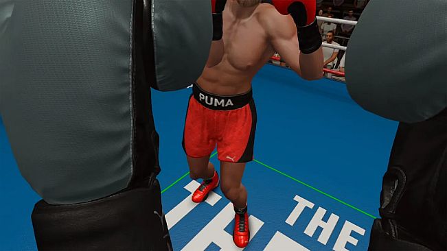 The Thrill Of The Fight 2 - Puma Original Special Edition Red Shoes
