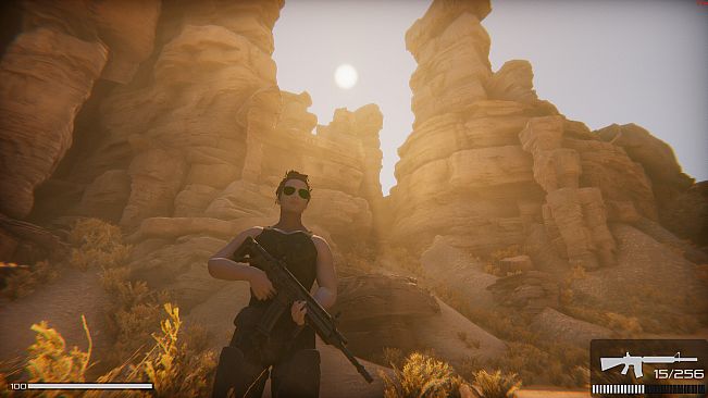 Infiltration: Alone in Combat