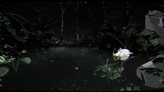 Borneo: A Jungle Nightmare