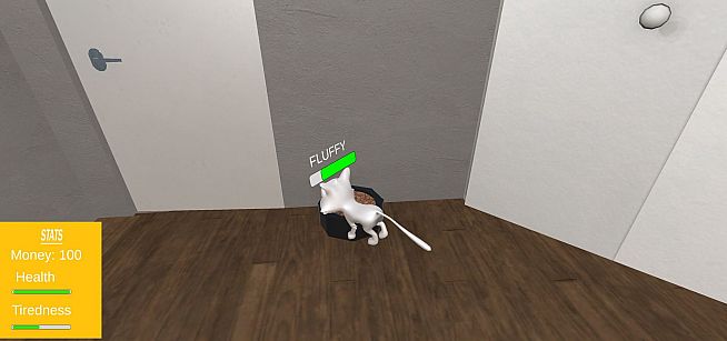 COVID-19 (CORONA VIRUS)