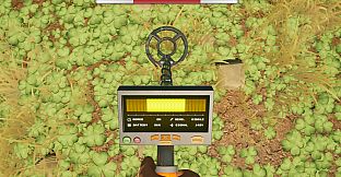 Metal Detect: Hidden Treasure