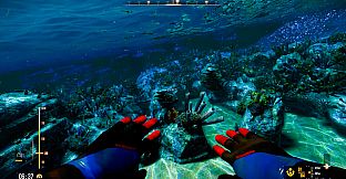 Deep Diving Adventures 2