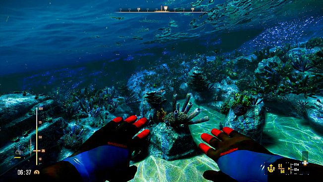 Deep Diving Adventures 2