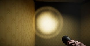 Backrooms: The Void