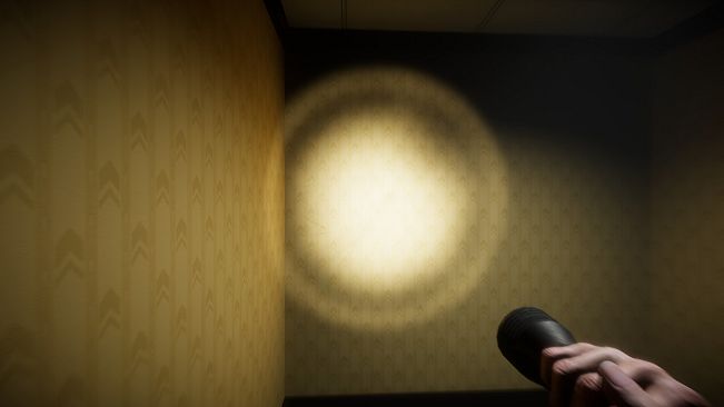 Backrooms: The Void