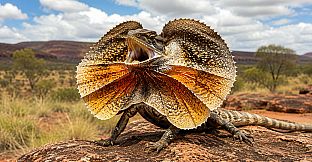 Puzzles Lizards