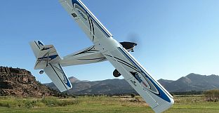 RealFlight Evolution