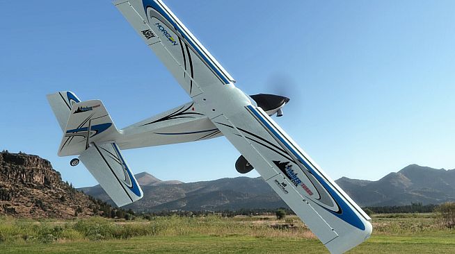 RealFlight Evolution