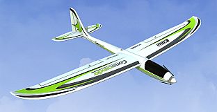 RealFlight Evolution - 2024 Year Content Pass