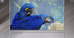 Super Jigsaw Puzzle: Generations - Parrots