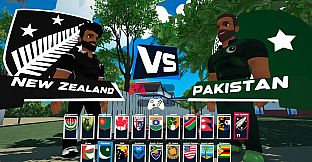 Don Bradman Cricket Jr