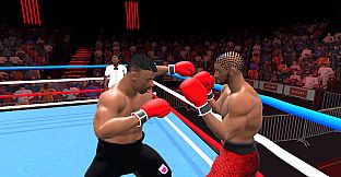 Pro Sports Boxing
