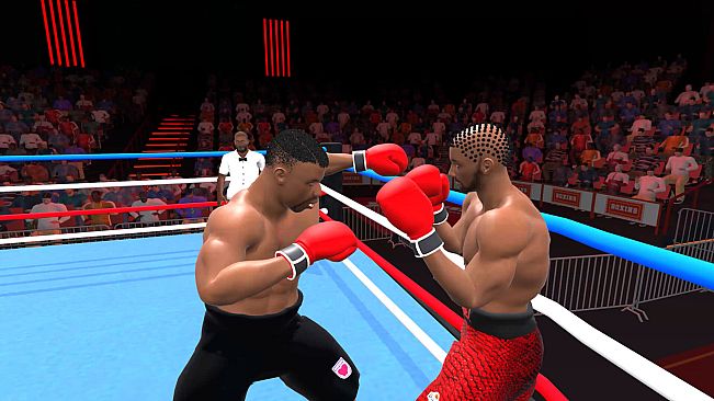 Pro Sports Boxing