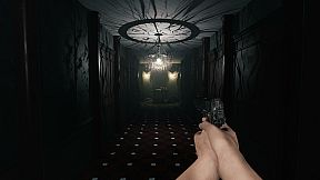 The Mirror Dimension