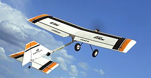 RealFlight Evolution - 2023 Year Content Pass