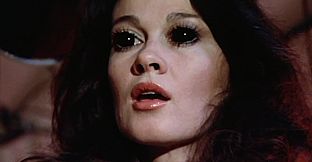 ROUGH KUTS: Invasion of the Bee Girls