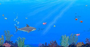 Watch Out: Shark!