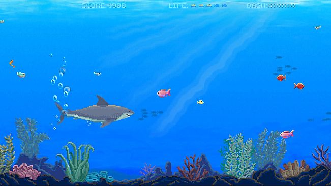 Watch Out: Shark!