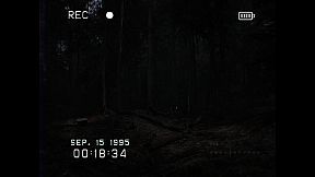 Don't Shout Together