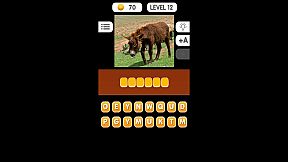 Photo Quiz - Animals