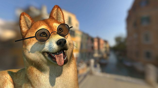 Animaze Plus 2024 - Lifetime License