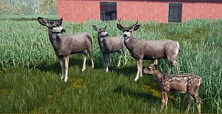 Wilderness Survival: The Conservationist