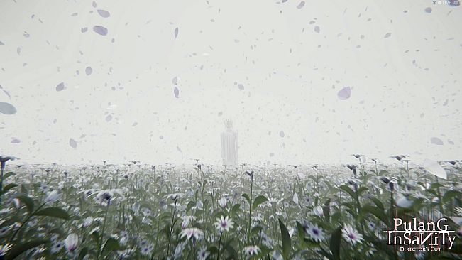 Pulang Insanity - Director's Cut