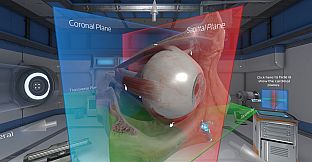 The Physiology of the Eye
