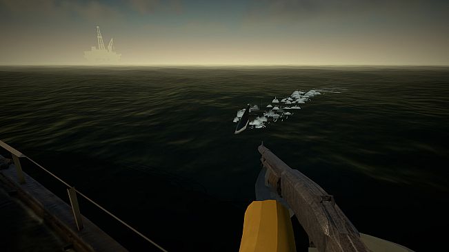 Reel Risk