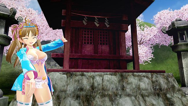 SENRAN KAGURA Peach Beach Splash - Mega Outfit Pack 1