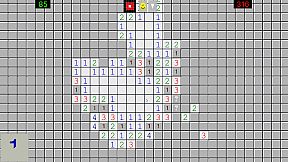Minesweeper Madness