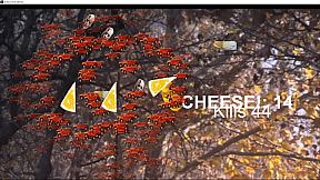 Achievement Collector: Zombie