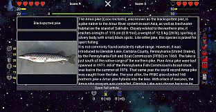 I've Seen Everything - More Fishes