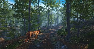 Big Cat Rescue VR