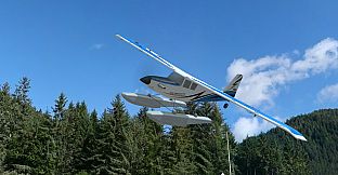 RealFlight Evolution - E-flite UMX Turbo Timber Evolution