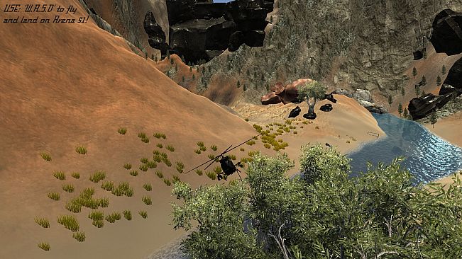 P-Walker's Simulation