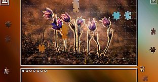 Super Jigsaw Puzzle: Generations - Random Puzzles 3