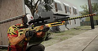 PAYDAY 2: McShay Weapon Pack 4