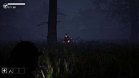 Anomalous Zone ███