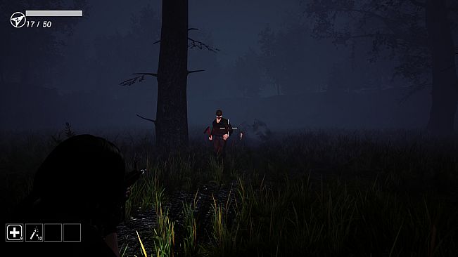 Anomalous Zone ███