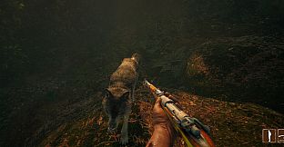 Their Land - Colorful Rifle Skin