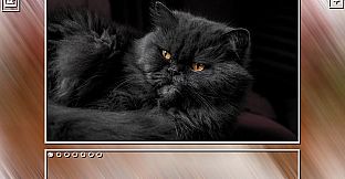 Super Jigsaw Puzzle: Generations - Cats Puzzles