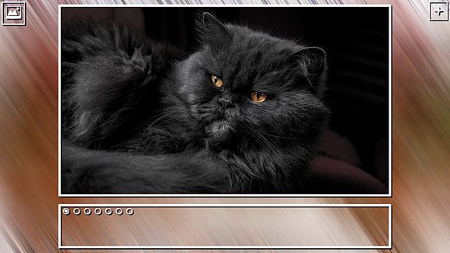 Super Jigsaw Puzzle: Generations - Cats Puzzles