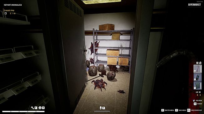 Dark Hours: Anomalies