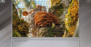 Super Jigsaw Puzzle: Generations - Forests