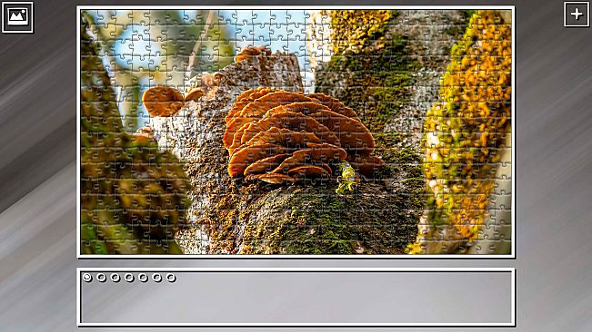 Super Jigsaw Puzzle: Generations - Forests