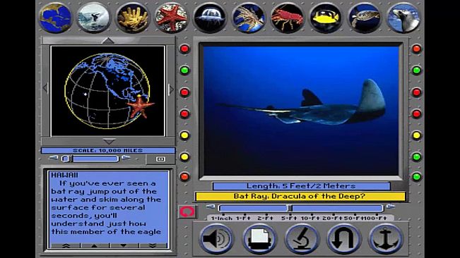 Undersea Adventure