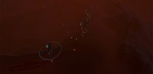 Blossom: The Seed of Life